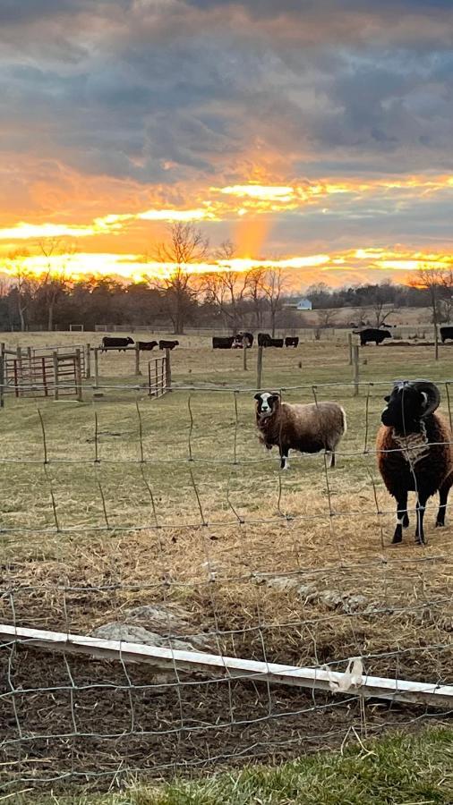 Shenandoah Valley Glamping - Amazing Views - Farm Edinburg Εξωτερικό φωτογραφία