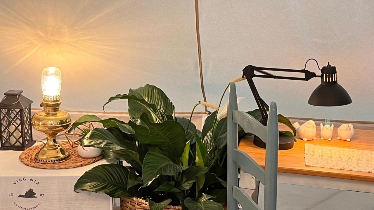 Shenandoah Valley Glamping - Amazing Views - Farm Edinburg Εξωτερικό φωτογραφία