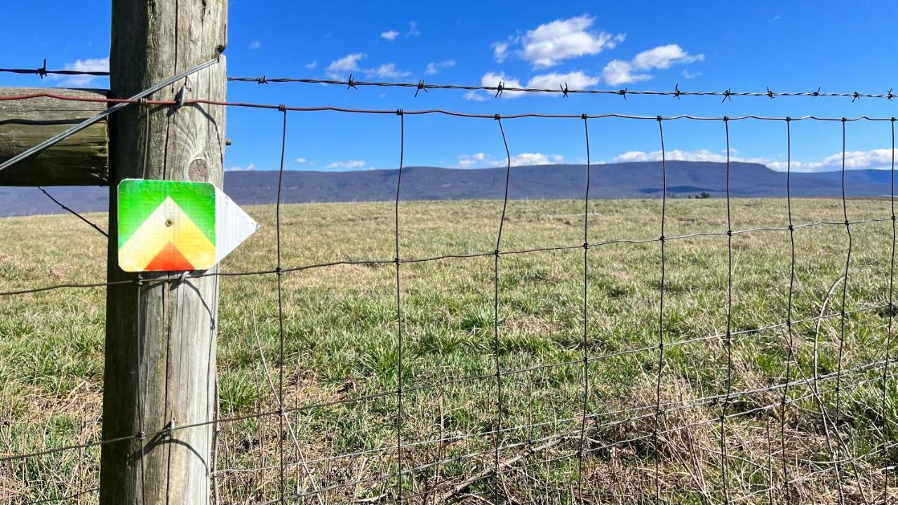 Shenandoah Valley Glamping - Amazing Views - Farm Edinburg Εξωτερικό φωτογραφία