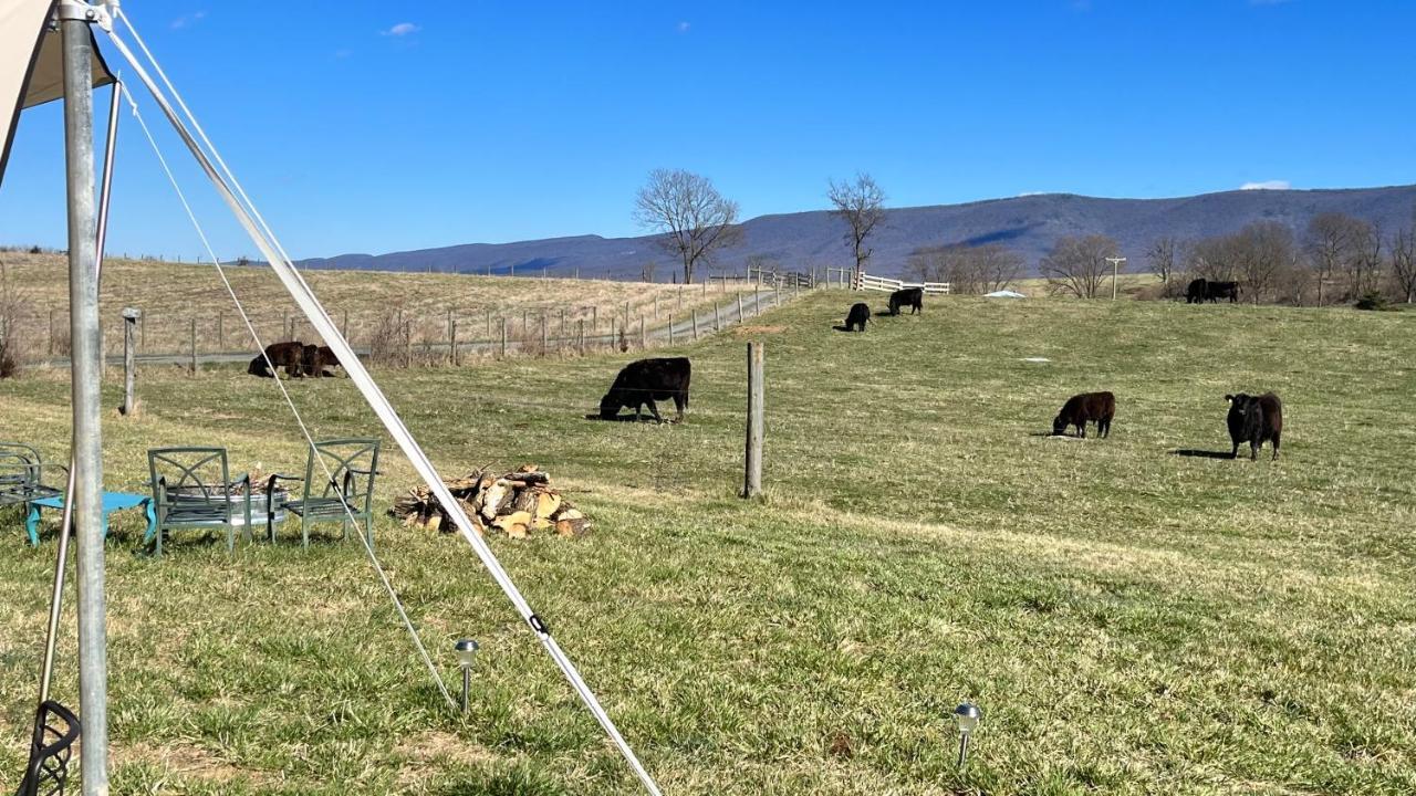 Shenandoah Valley Glamping - Amazing Views - Farm Edinburg Εξωτερικό φωτογραφία